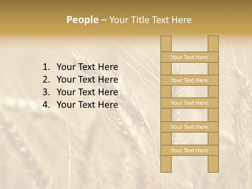 Golden Wheat Growing In A Farm Field PowerPoint Template