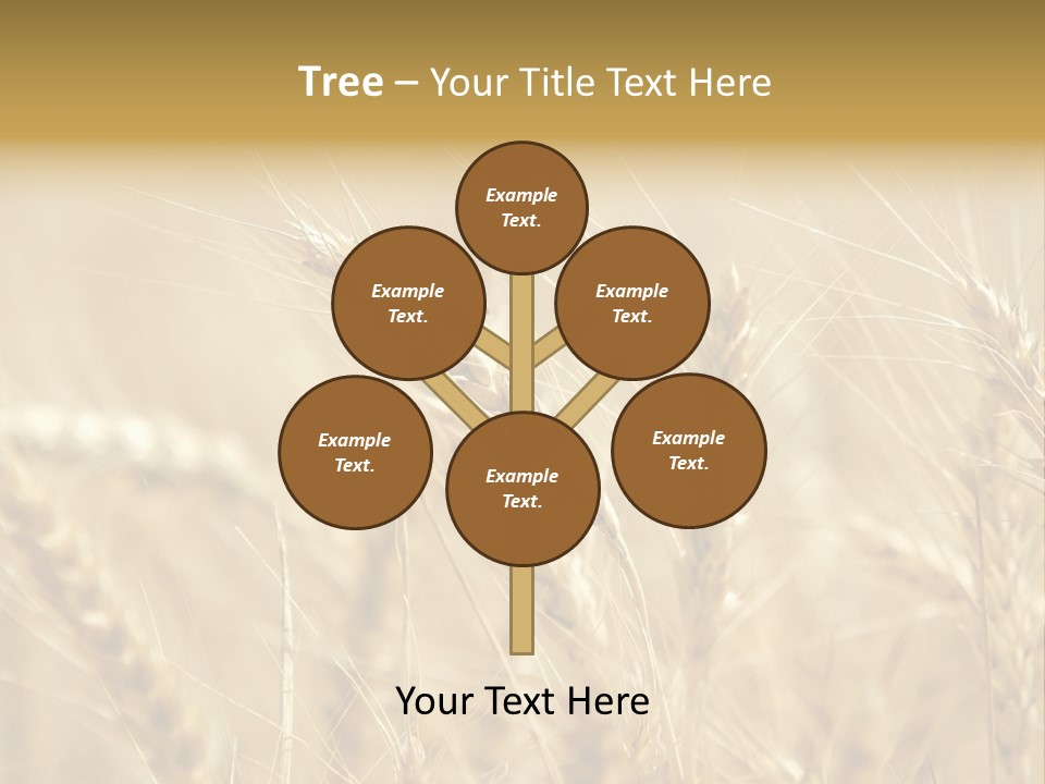 Golden Wheat Growing In A Farm Field PowerPoint Template