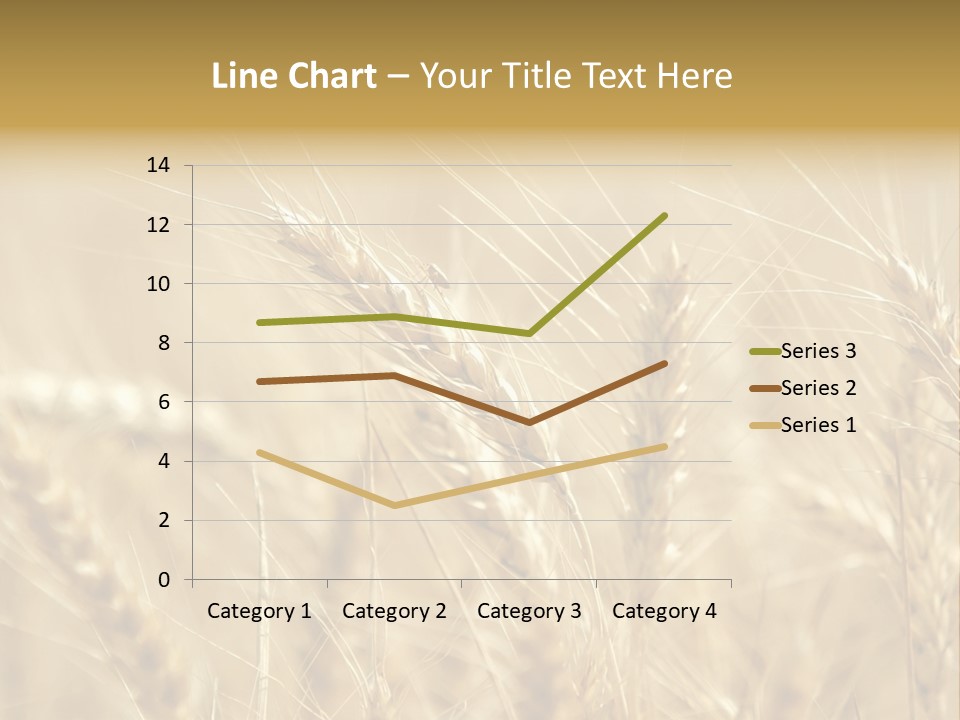 Golden Wheat Growing In A Farm Field PowerPoint Template