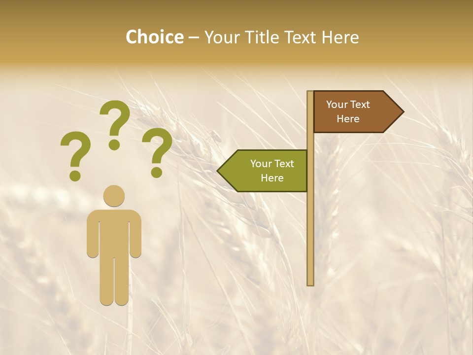Golden Wheat Growing In A Farm Field PowerPoint Template