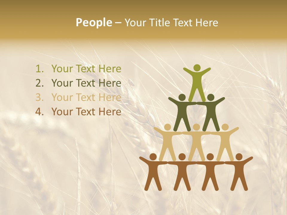 Golden Wheat Growing In A Farm Field PowerPoint Template