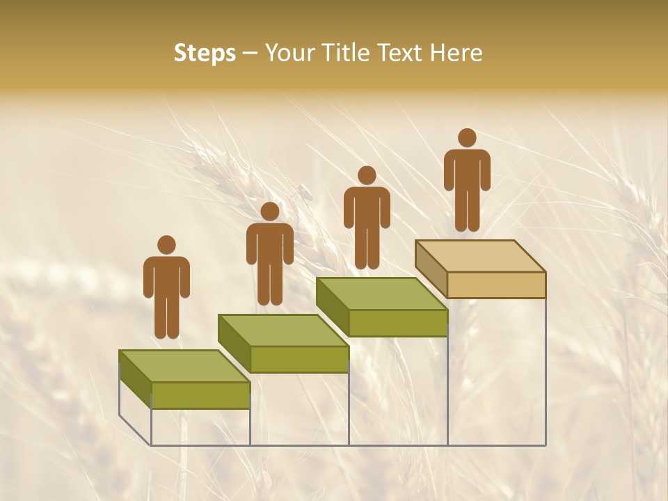Golden Wheat Growing In A Farm Field PowerPoint Template