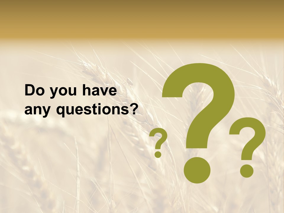 Golden Wheat Growing In A Farm Field PowerPoint Template