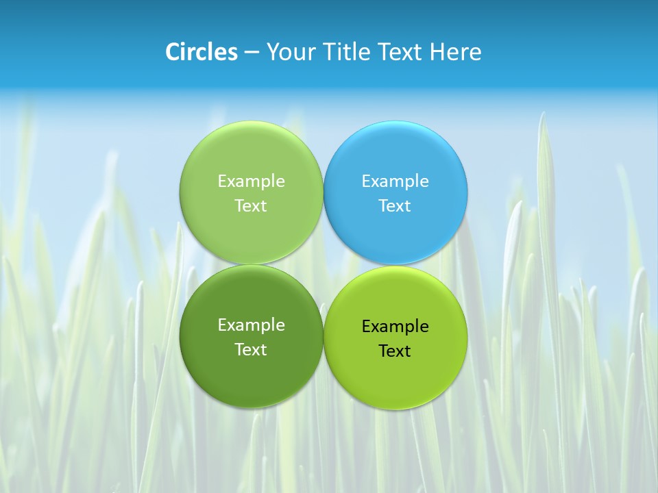 Fresh Grain On A Blue Background PowerPoint Template