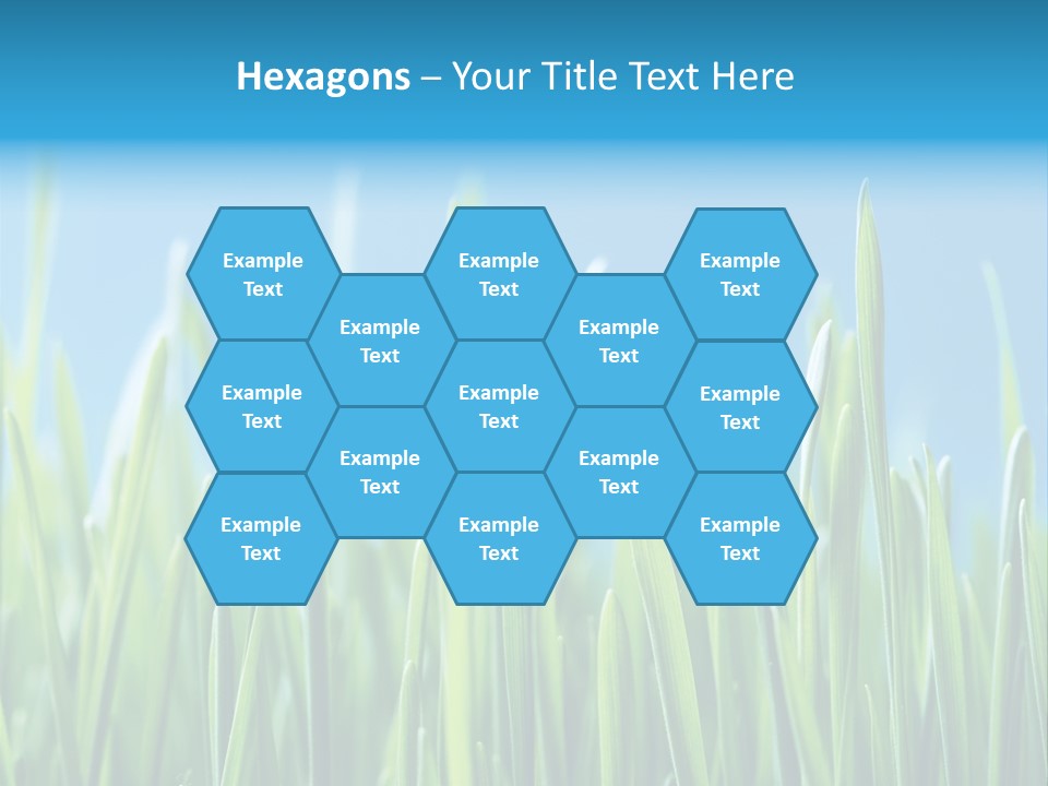 Fresh Grain On A Blue Background PowerPoint Template