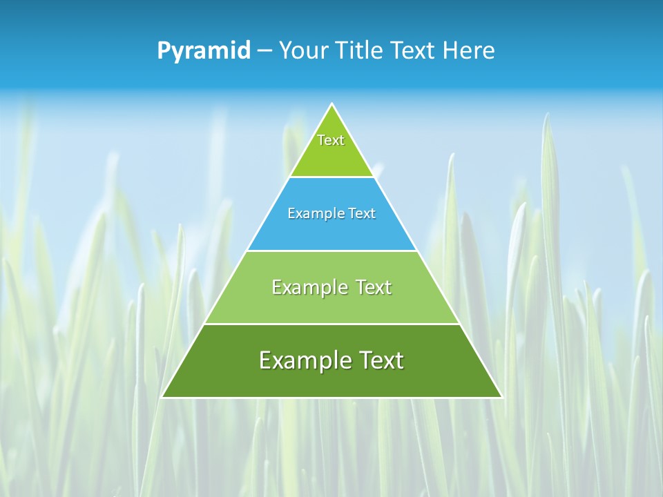 Fresh Grain On A Blue Background PowerPoint Template