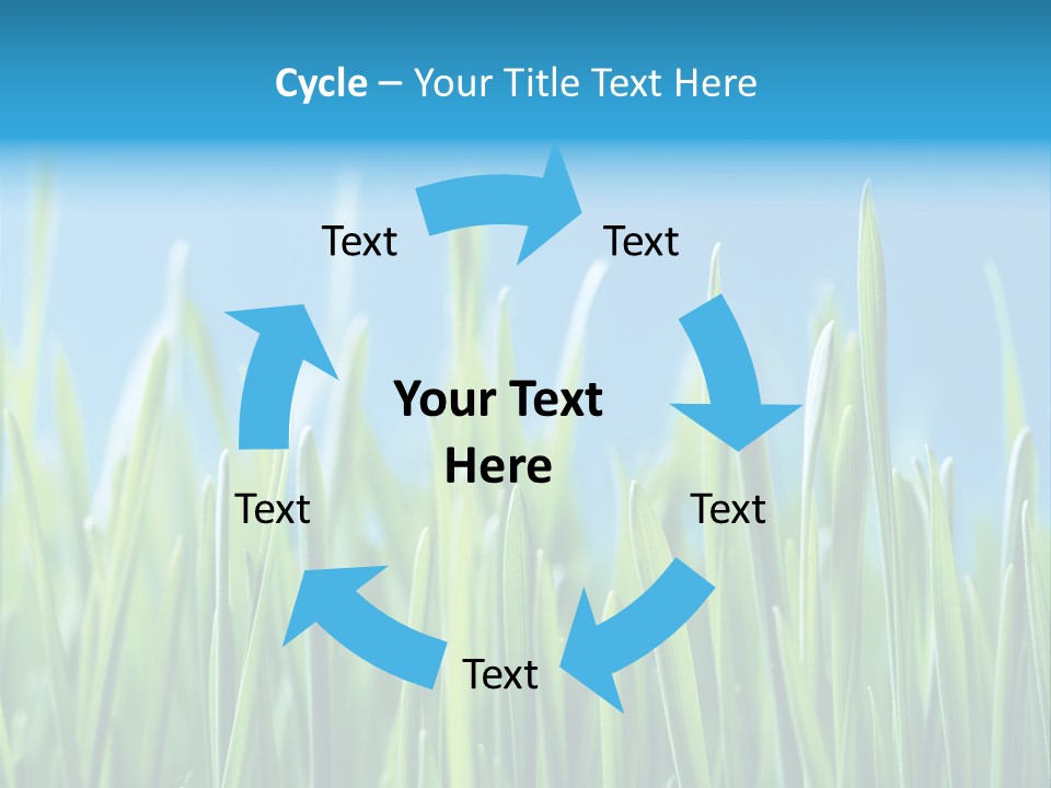 Fresh Grain On A Blue Background PowerPoint Template