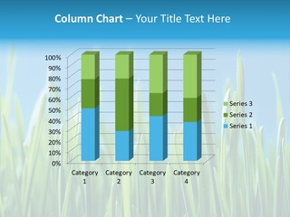 Fresh Grain On A Blue Background PowerPoint Template