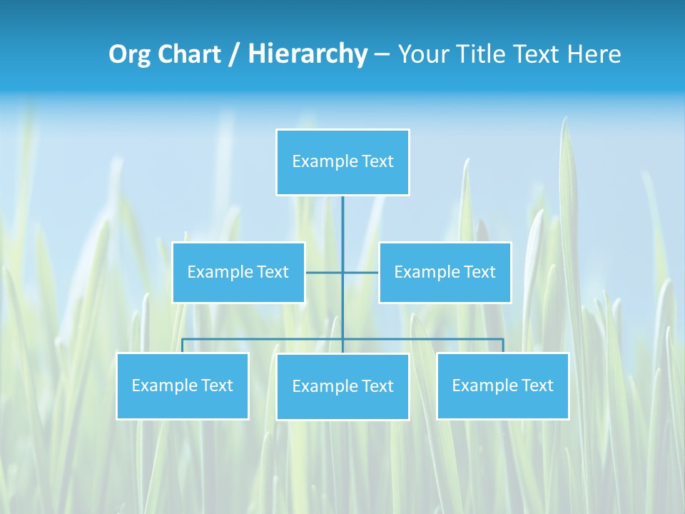 Fresh Grain On A Blue Background PowerPoint Template