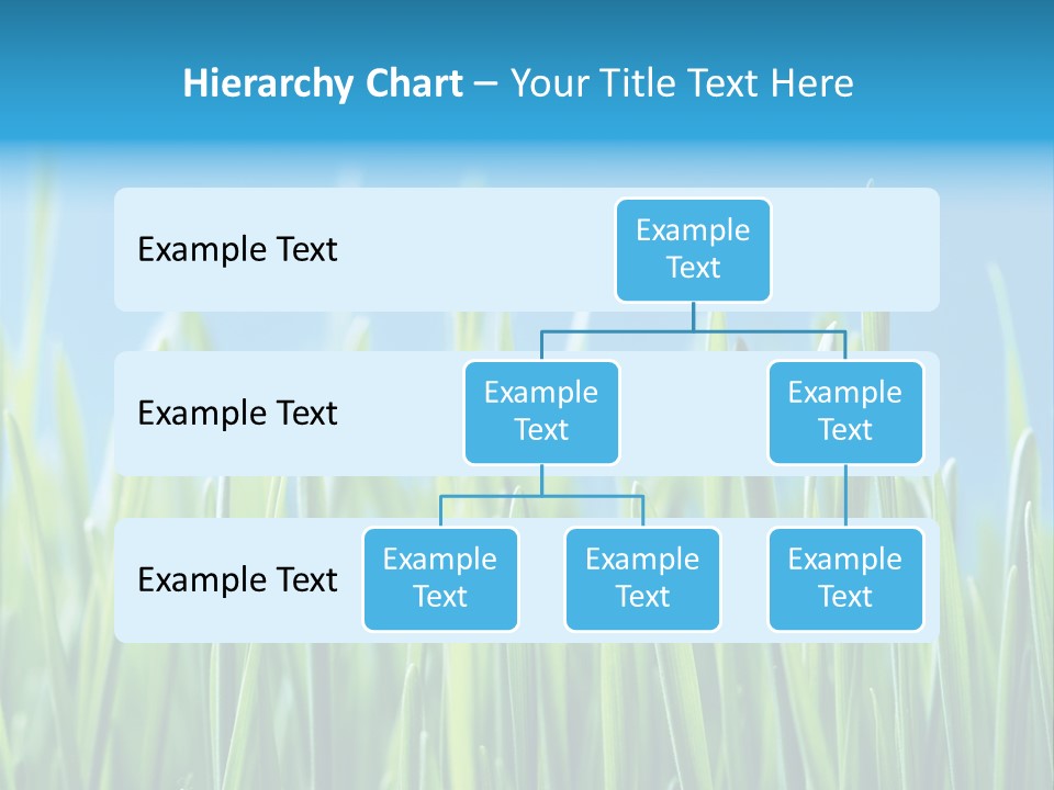 Fresh Grain On A Blue Background PowerPoint Template