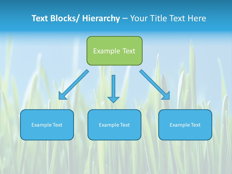 Fresh Grain On A Blue Background PowerPoint Template