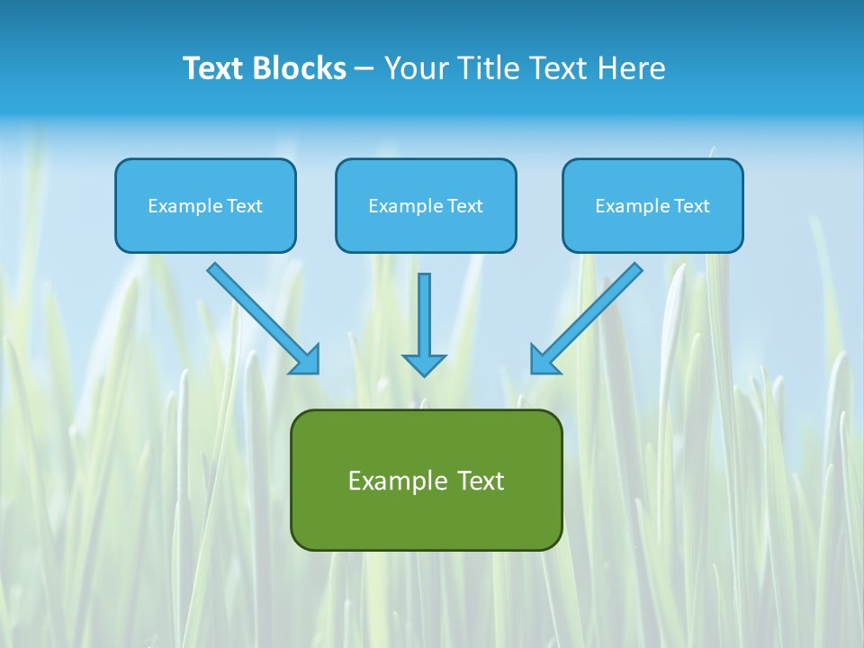 Fresh Grain On A Blue Background PowerPoint Template