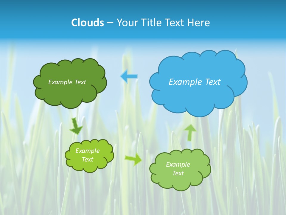 Fresh Grain On A Blue Background PowerPoint Template
