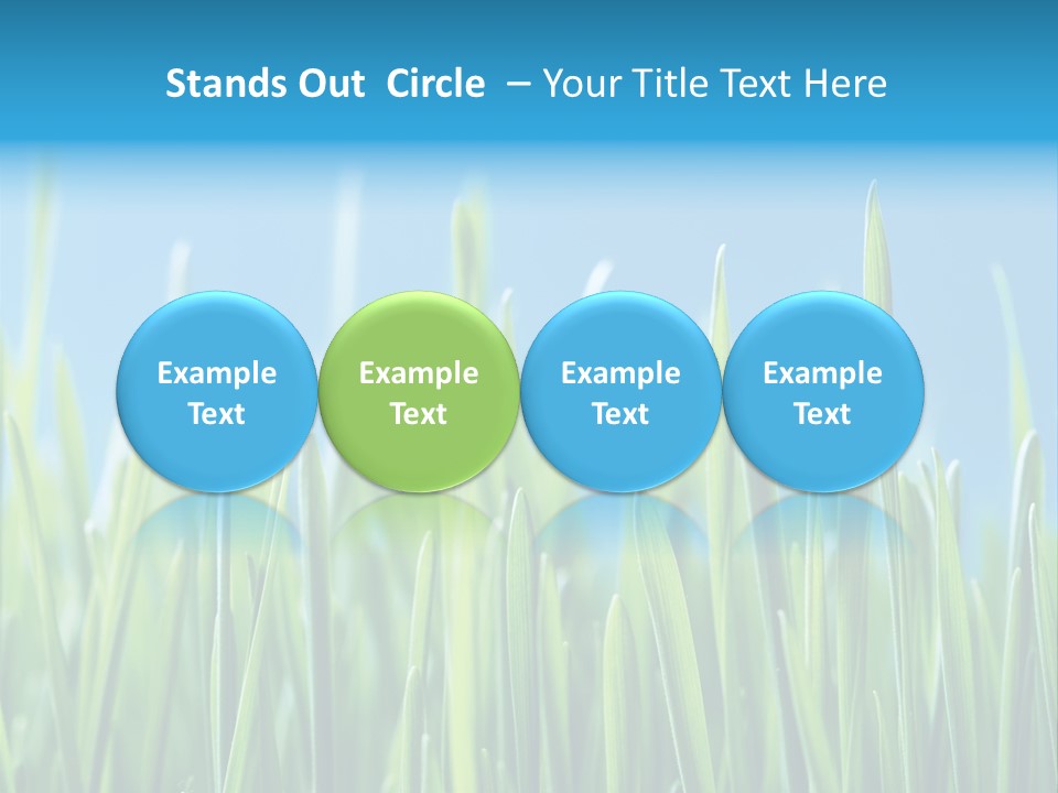 Fresh Grain On A Blue Background PowerPoint Template