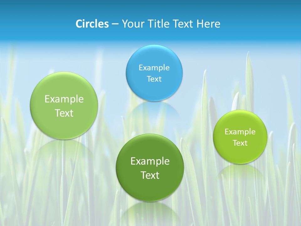 Fresh Grain On A Blue Background PowerPoint Template