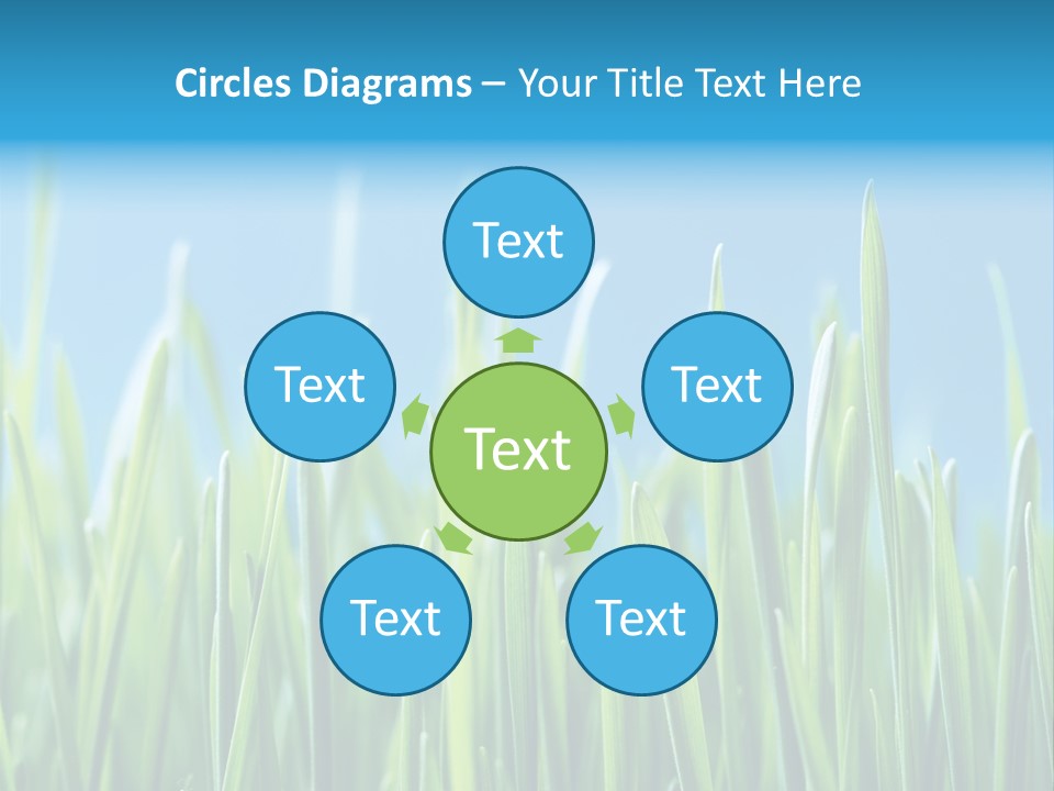 Fresh Grain On A Blue Background PowerPoint Template