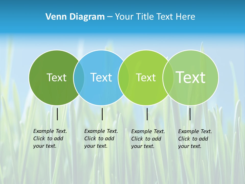 Fresh Grain On A Blue Background PowerPoint Template