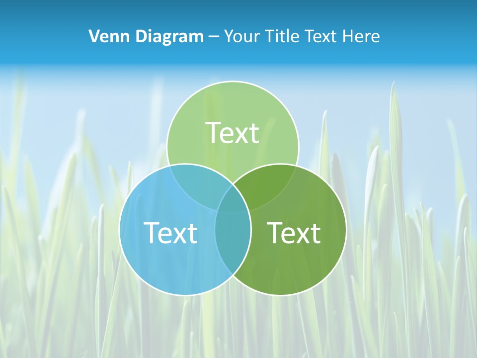 Fresh Grain On A Blue Background PowerPoint Template