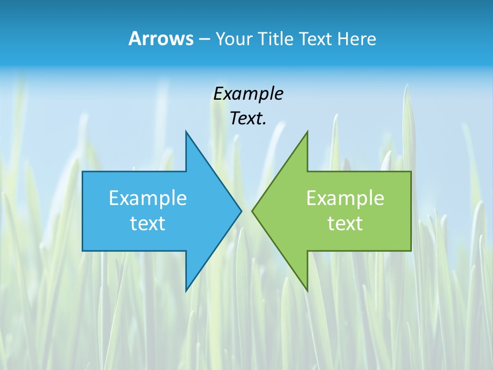 Fresh Grain On A Blue Background PowerPoint Template