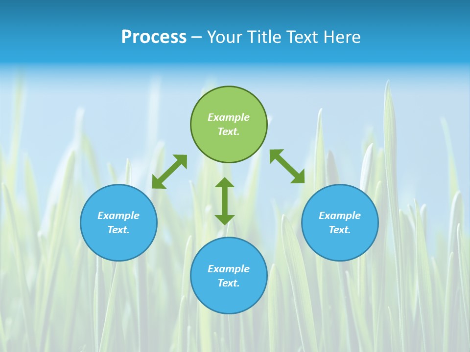 Fresh Grain On A Blue Background PowerPoint Template