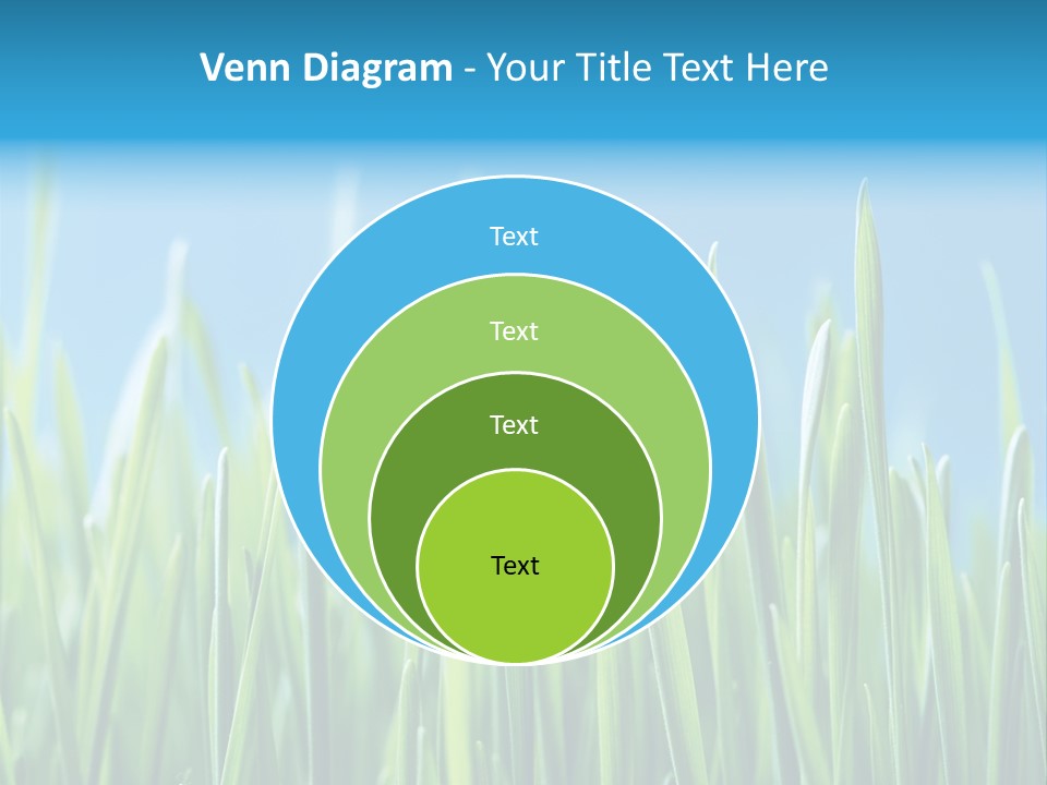 Fresh Grain On A Blue Background PowerPoint Template