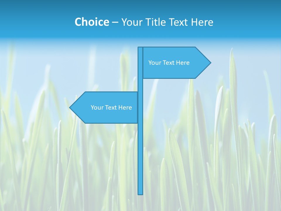 Fresh Grain On A Blue Background PowerPoint Template