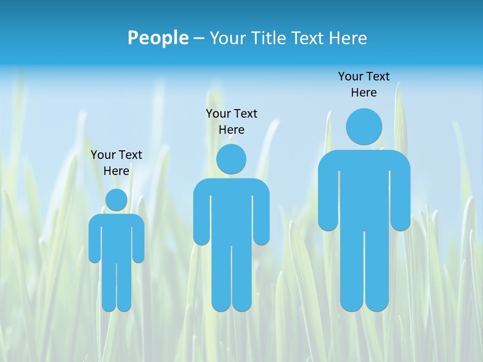 Fresh Grain On A Blue Background PowerPoint Template