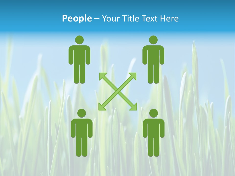 Fresh Grain On A Blue Background PowerPoint Template