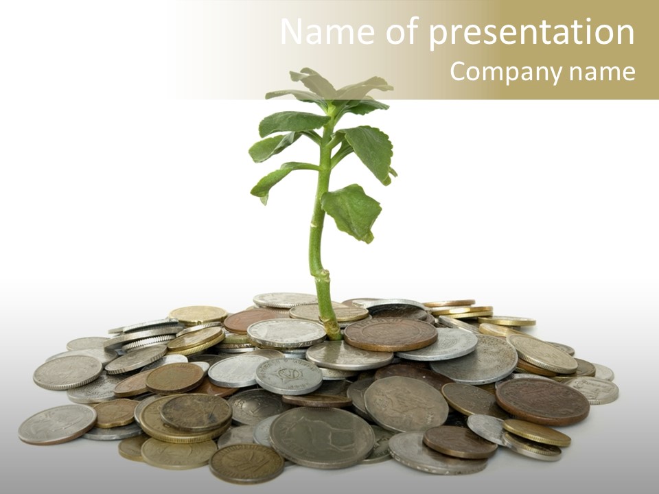 Coins And Plant Isolated On White Background PowerPoint Template