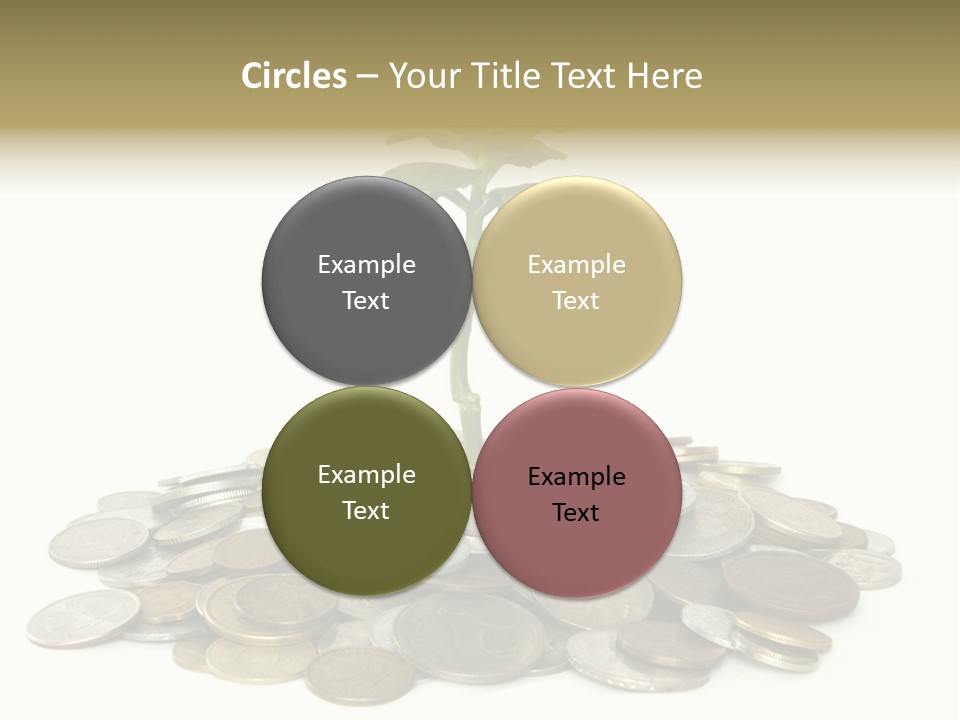 Coins And Plant Isolated On White Background PowerPoint Template