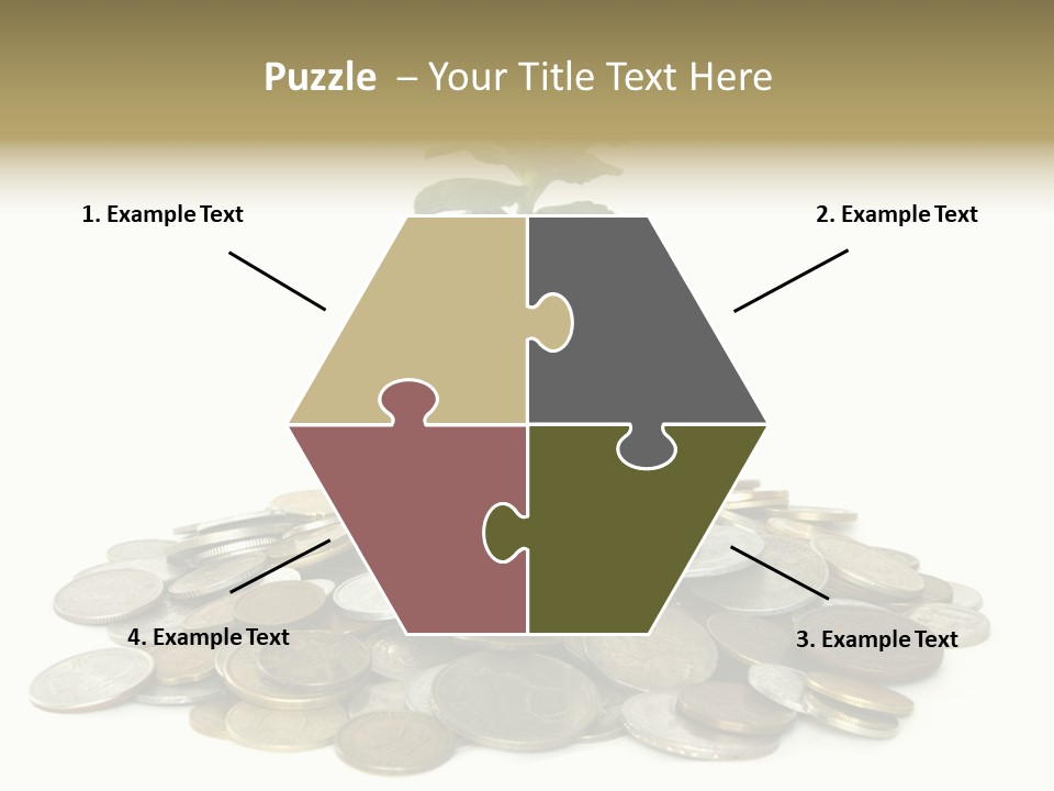 Coins And Plant Isolated On White Background PowerPoint Template