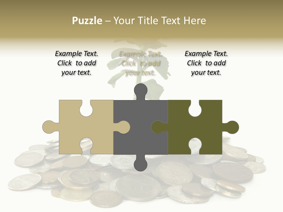 Coins And Plant Isolated On White Background PowerPoint Template