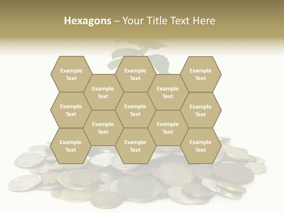 Coins And Plant Isolated On White Background PowerPoint Template