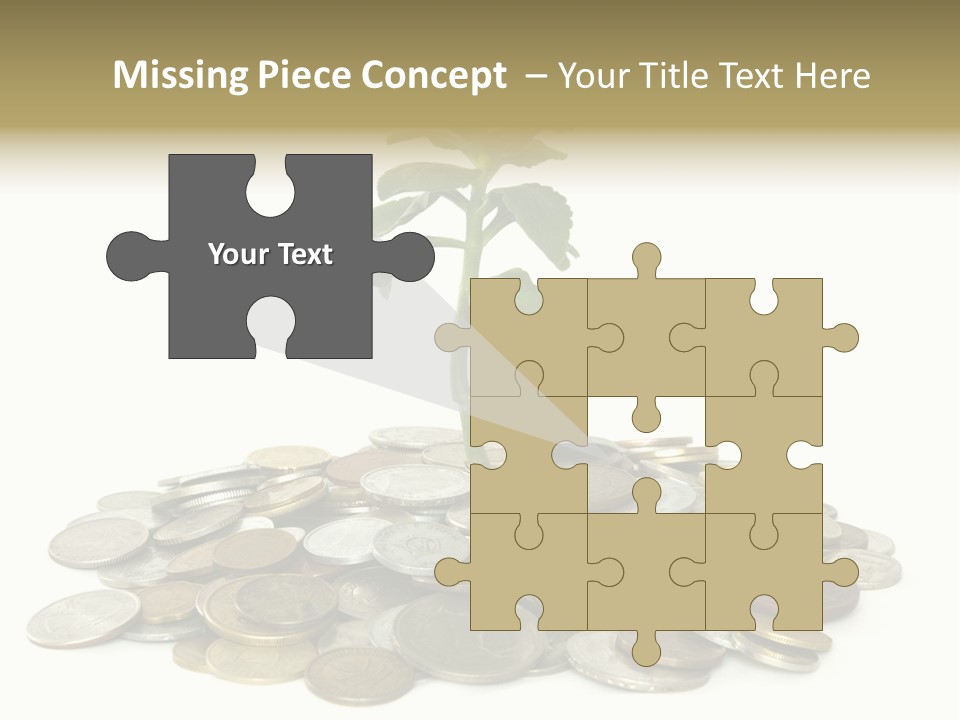 Coins And Plant Isolated On White Background PowerPoint Template