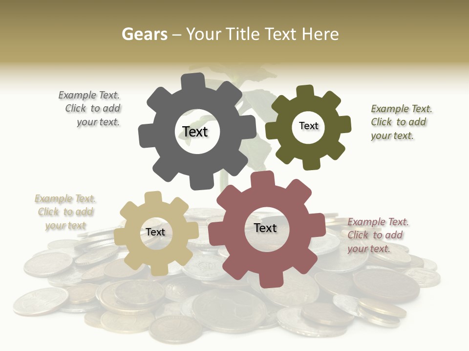 Coins And Plant Isolated On White Background PowerPoint Template