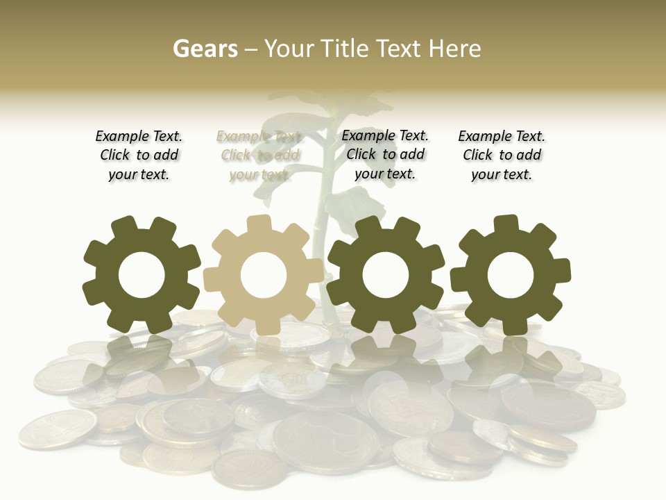 Coins And Plant Isolated On White Background PowerPoint Template