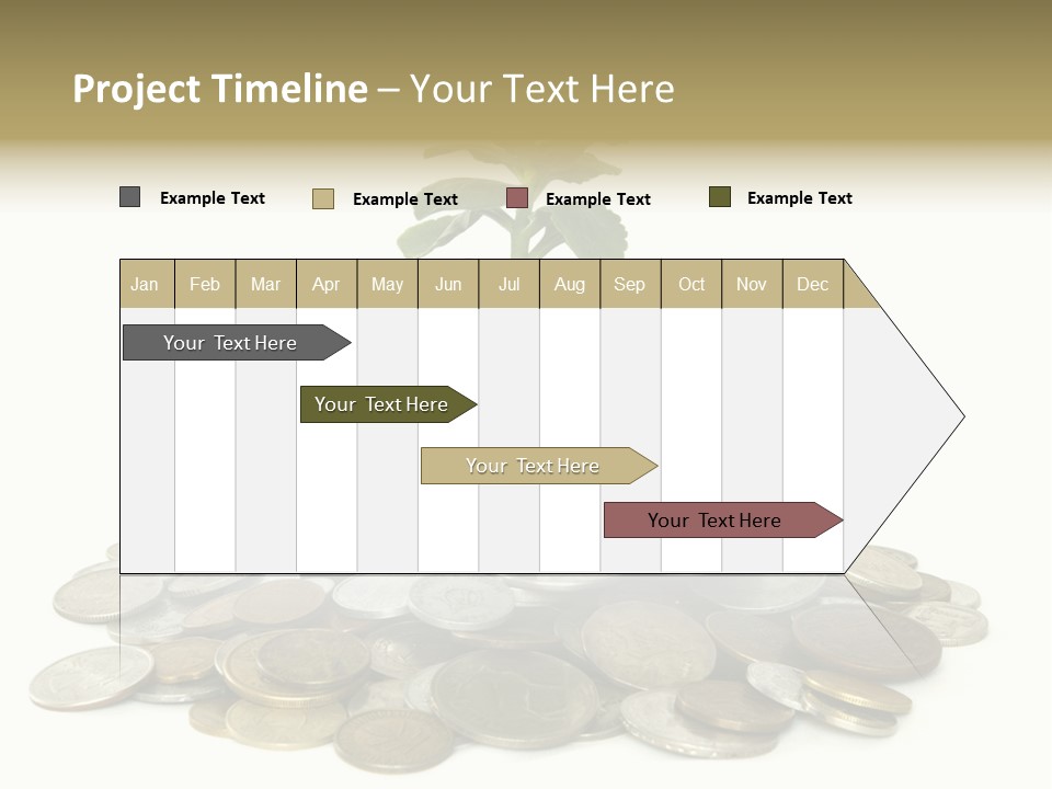 Coins And Plant Isolated On White Background PowerPoint Template