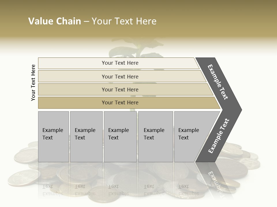 Coins And Plant Isolated On White Background PowerPoint Template