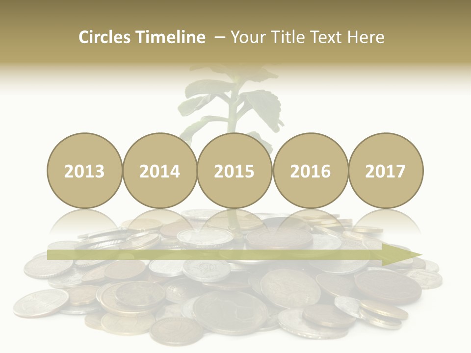Coins And Plant Isolated On White Background PowerPoint Template