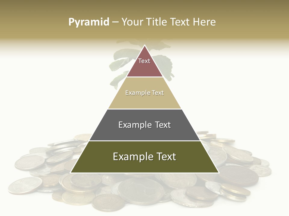 Coins And Plant Isolated On White Background PowerPoint Template