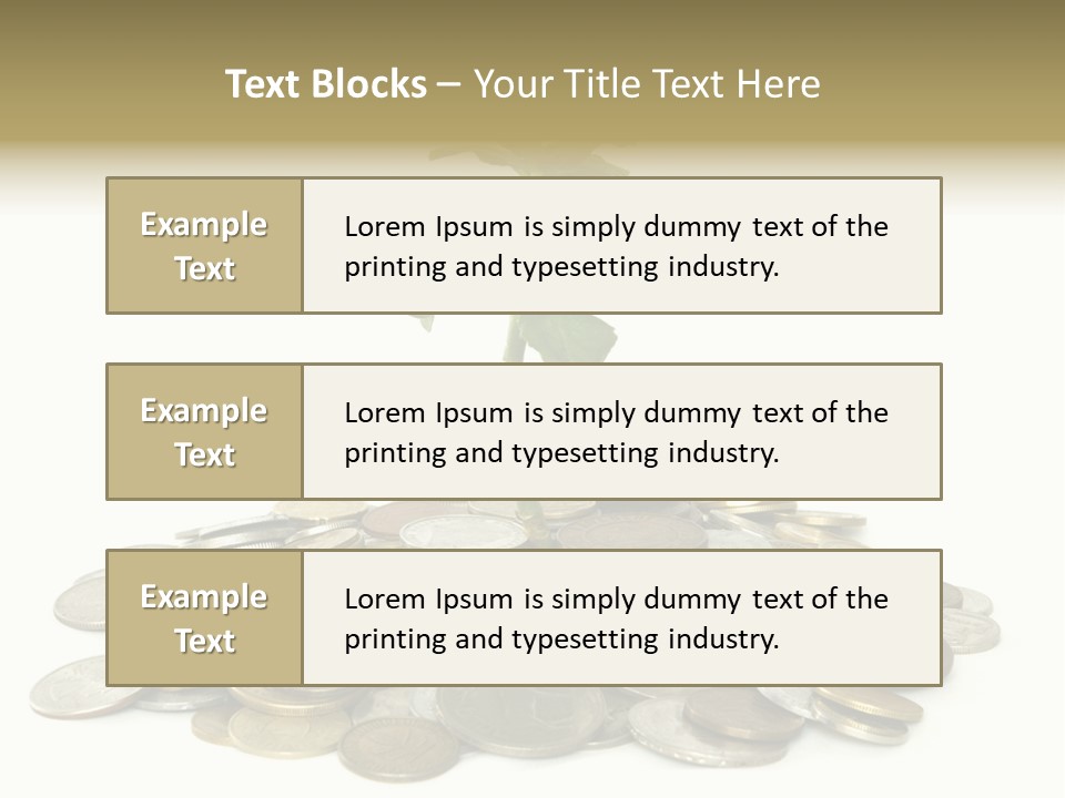 Coins And Plant Isolated On White Background PowerPoint Template