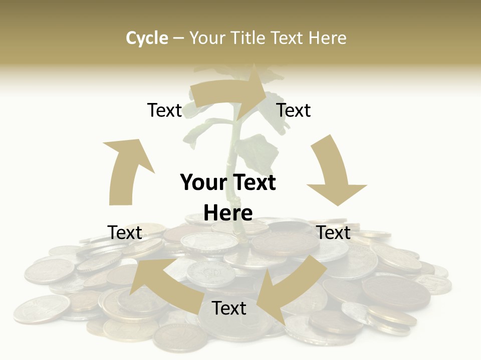 Coins And Plant Isolated On White Background PowerPoint Template