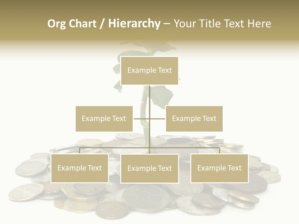 Coins And Plant Isolated On White Background PowerPoint Template