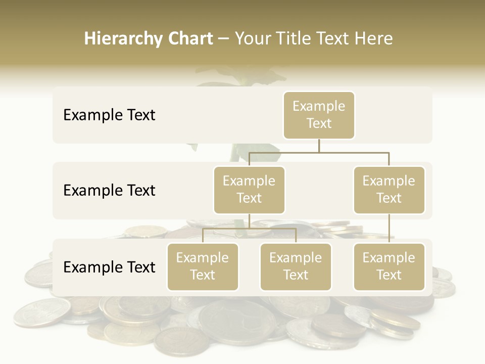Coins And Plant Isolated On White Background PowerPoint Template