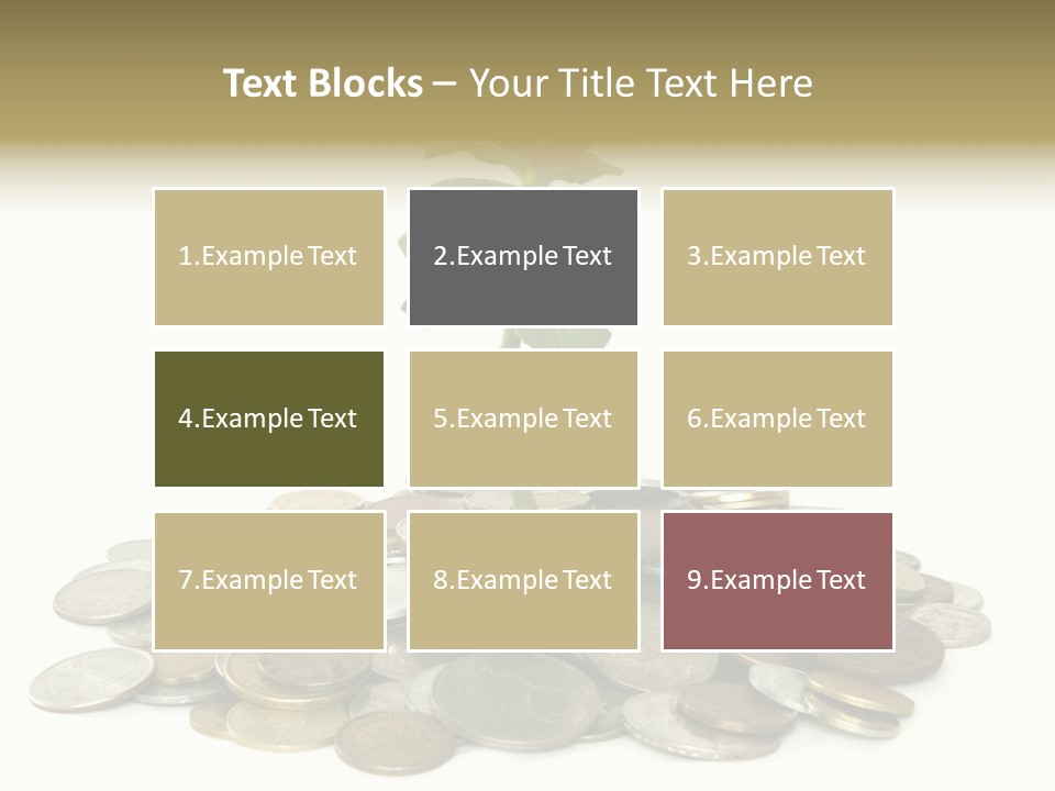 Coins And Plant Isolated On White Background PowerPoint Template