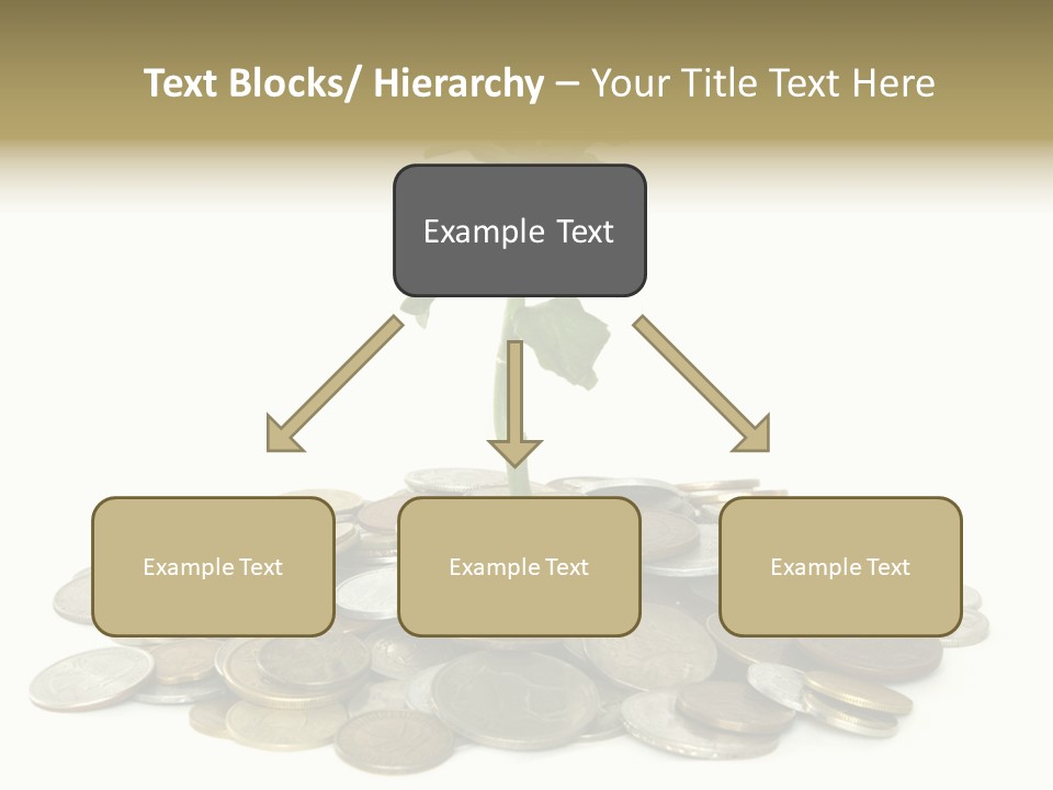 Coins And Plant Isolated On White Background PowerPoint Template