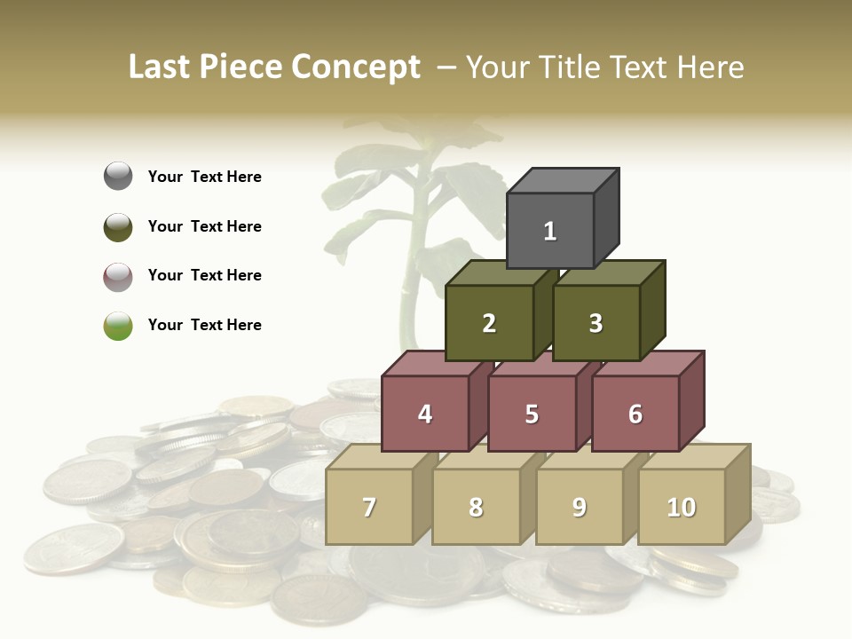 Coins And Plant Isolated On White Background PowerPoint Template