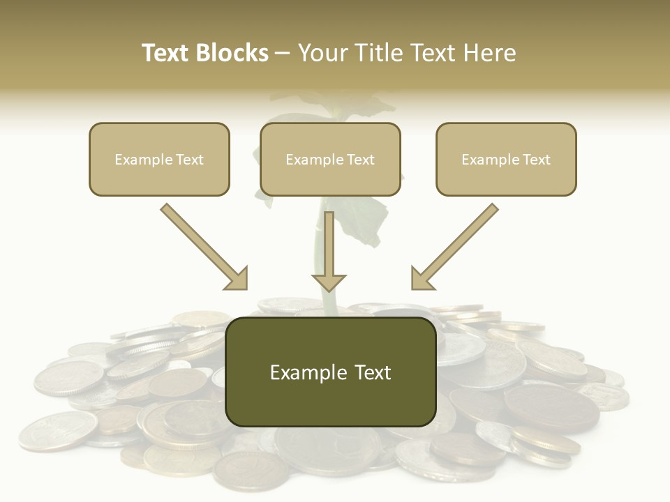 Coins And Plant Isolated On White Background PowerPoint Template
