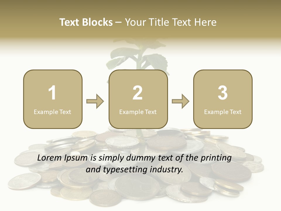 Coins And Plant Isolated On White Background PowerPoint Template