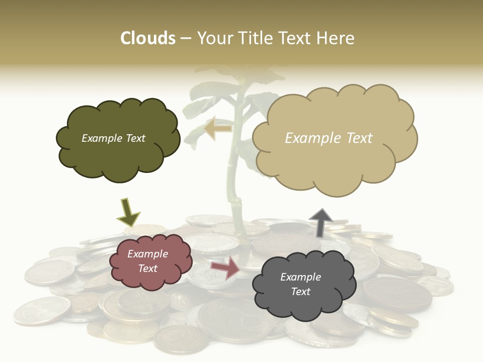Coins And Plant Isolated On White Background PowerPoint Template